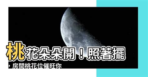 房間放什麼招桃花|【房間放什麼招桃花2023】2023解鎖桃花運！房間佈置5撇步，輕。